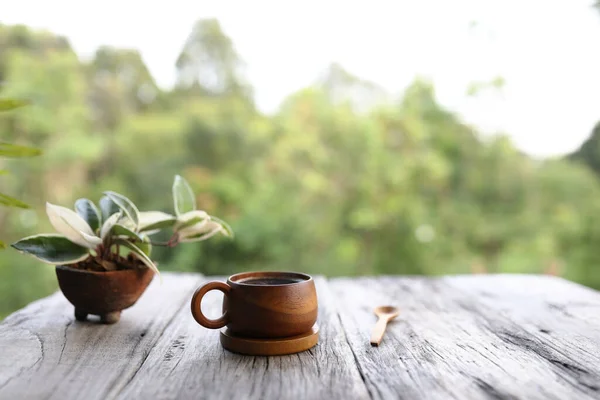 Wooden Coffee Cup Hoya Tree Plant — Fotografia de Stock