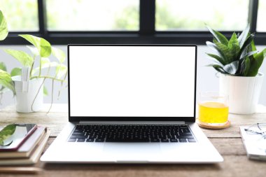 Laptop, mango suyu ve saksı.