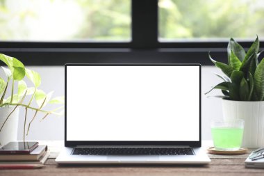 Beyaz ekranlı dizüstü bilgisayar ve ev bitkileri evden çalışıyor.