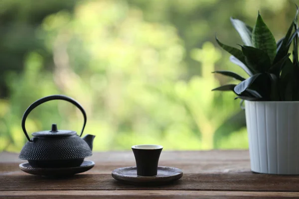 Metal Çay Demliği Çay Fincanı Hahnii Saksısı Ahşap Masaya — Stok fotoğraf