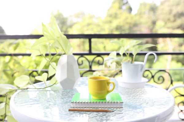 yellow coffee cup and pothos neon plant on glass table