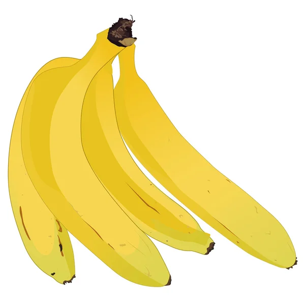 Bando de bananas. — Vetor de Stock