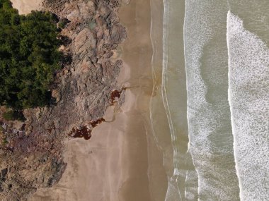 Sarawak ve Borneo Adası 'nın güney kesimindeki Pugu, Gondol, Siar ve Pandan Sahilleri.