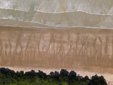 Sarawak ve Borneo Adası 'nın güney kesimindeki Pugu, Gondol, Siar ve Pandan Sahilleri.