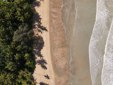 Sarawak ve Borneo Adası 'nın güney kesimindeki Pugu, Gondol, Siar ve Pandan Sahilleri.