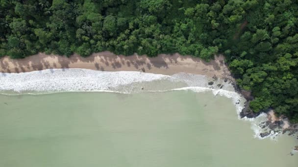 Telok Teluk Melano Coastline Serabang Beach Vârful Cel Mai Sudic — Videoclip de stoc