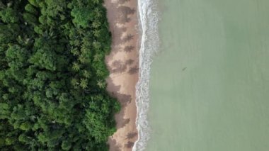 Telok Teluk Melano Sahil Hattı ve Serabang Plajı Sarawak ve Borneo Adası 'nın Tanjung Datu bölgesinin en güney ucunda.