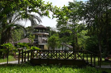 Samajaya Stutong Ormanı Doğa Koruma Alanı Borneo Adası, Sarawak