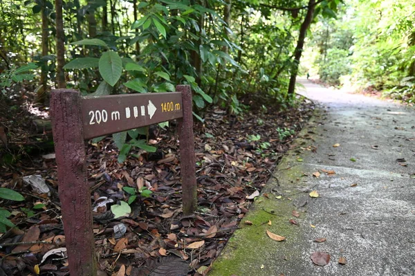 Samajaya Stutong Ormanı Doğa Koruma Alanı Borneo Adası, Sarawak