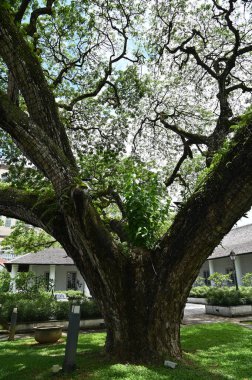 Kuching, Sarawak Malezya - 8 Nisan 2022: The Old Court House, India Street ve Carpenter Street