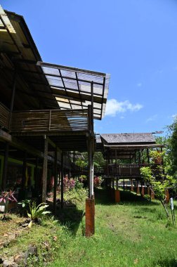 Kuching, Sarawak Malezya - 1 Mayıs 2022: Çeşitlendirilmiş Aborjin ve Yerlilerin Gösterisiyle Saray Kültür Köyü