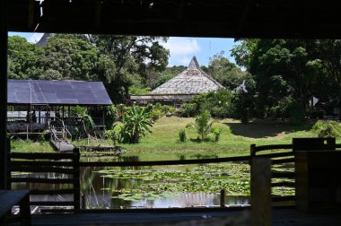 Kuching, Sarawak Malezya - 1 Mayıs 2022: Çeşitlendirilmiş Aborjin ve Yerlilerin Gösterisiyle Saray Kültür Köyü