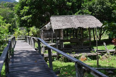 Kuching, Sarawak Malezya - 1 Mayıs 2022: Çeşitlendirilmiş Aborjin ve Yerlilerin Gösterisiyle Saray Kültür Köyü