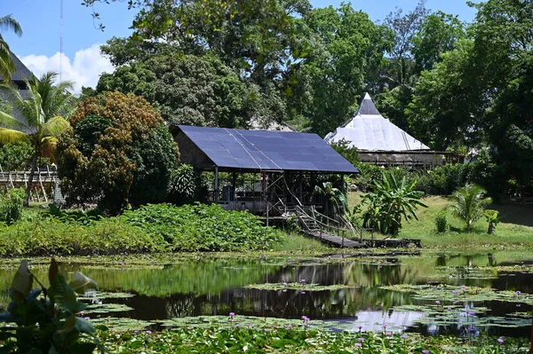 Kuching Sarawak Malezya Mayıs 2022 Çeşitlendirilmiş Aborjin Yerlilerin Gösterisiyle Saray — Stok fotoğraf