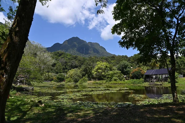 Kuching, Sarawak Malezya - 1 Mayıs 2022: Çeşitlendirilmiş Aborjin ve Yerlilerin Gösterisiyle Saray Kültür Köyü