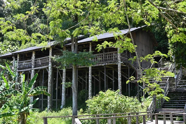 Kuching, Sarawak Malezya - 1 Mayıs 2022: Çeşitlendirilmiş Aborjin ve Yerlilerin Gösterisiyle Saray Kültür Köyü