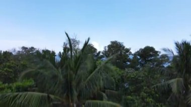 The Landmark and Tourist Attraction areas of the of Miri City, with its famous beaches, rivers, city and scenic surroundings