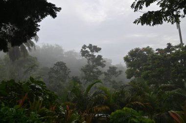 Georgetown, Penang Malezya - 16 Mayıs 2022: Penang Hill 'in Görkemli Görüşleri, Georgetown, Malezya