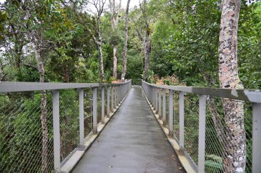 Georgetown, Penang Malezya - 16 Mayıs 2022: Penang Hill 'in Görkemli Görüşleri, Georgetown, Malezya