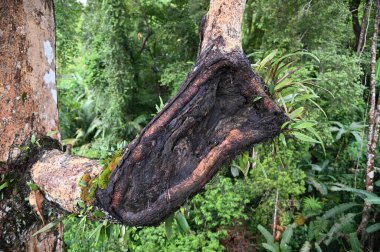 Georgetown, Penang Malezya - 16 Mayıs 2022: Penang Hill 'in Görkemli Görüşleri, Georgetown, Malezya