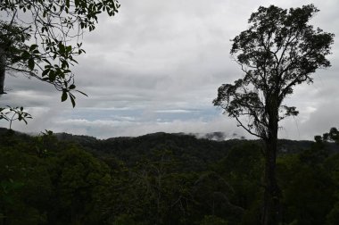 Georgetown, Penang Malezya - 16 Mayıs 2022: Penang Hill 'in Görkemli Görüşleri, Georgetown, Malezya