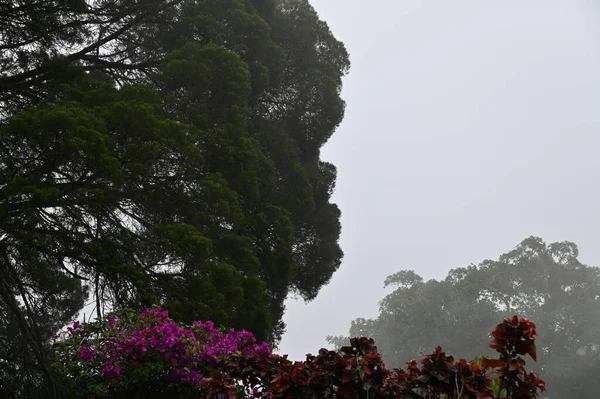 Georgetown Penang Malezya Mayıs 2022 Penang Hill Görkemli Görüşleri Georgetown — Stok fotoğraf