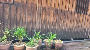 Georgetown, Penang Malezya - 13 Mayıs 2022: Georgetown Penang Klanı Jetties, Malezya. Penang Çin topluluğunun farklı klanları tarafından deniz kıyısında tahta kalelere inşa edilmiş ahşap köyler..