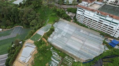 Cameron Highlands, Pahang Malezya 30 Mayıs 2022: Malezya 'nın Cameron Highlands Alanı içindeki Brinchang Bölgesinin Genel Manzarası