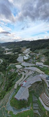 Cameron Highlands, Pahang Malezya 30 Mayıs 2022: Malezya 'nın Cameron Highlands Alanı içindeki Brinchang Bölgesinin Genel Manzarası