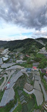 Cameron Highlands, Pahang Malezya 30 Mayıs 2022: Malezya 'nın Cameron Highlands Alanı içindeki Brinchang Bölgesinin Genel Manzarası