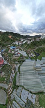 Cameron Highlands, Pahang Malezya 30 Mayıs 2022: Malezya 'nın Cameron Highlands Alanı içindeki Brinchang Bölgesinin Genel Manzarası
