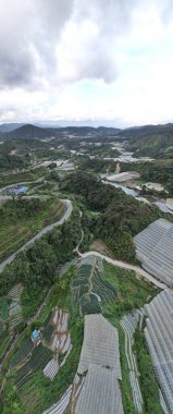 Cameron Highlands, Pahang Malezya 30 Mayıs 2022: Malezya 'nın Cameron Highlands Alanı içindeki Brinchang Bölgesinin Genel Manzarası