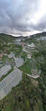 Cameron Highlands, Pahang Malezya 30 Mayıs 2022: Malezya 'nın Cameron Highlands Alanı içindeki Brinchang Bölgesinin Genel Manzarası