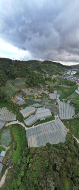 Cameron Highlands, Pahang Malezya 30 Mayıs 2022: Malezya 'nın Cameron Highlands Alanı içindeki Brinchang Bölgesinin Genel Manzarası