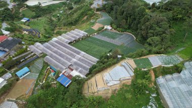 Cameron Highlands, Pahang Malezya 30 Mayıs 2022: Malezya 'nın Cameron Highlands Alanı içindeki Brinchang Bölgesinin Genel Manzarası