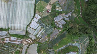 Cameron Highlands, Pahang Malezya 30 Mayıs 2022: Malezya 'nın Cameron Highlands Alanı içindeki Brinchang Bölgesinin Genel Manzarası