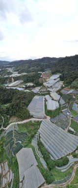 Cameron Highlands, Pahang Malezya 30 Mayıs 2022: Malezya 'nın Cameron Highlands Alanı içindeki Brinchang Bölgesinin Genel Manzarası