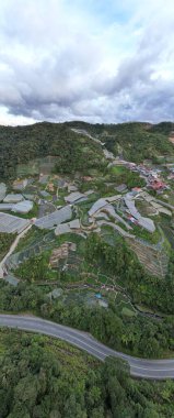 Cameron Highlands, Pahang Malezya 30 Mayıs 2022: Malezya 'nın Cameron Highlands Alanı içindeki Brinchang Bölgesinin Genel Manzarası