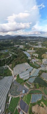 Cameron Highlands, Pahang Malezya 30 Mayıs 2022: Malezya 'nın Cameron Highlands Alanı içindeki Brinchang Bölgesinin Genel Manzarası