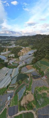 Cameron Highlands, Pahang Malezya 30 Mayıs 2022: Malezya 'nın Cameron Highlands Alanı içindeki Brinchang Bölgesinin Genel Manzarası