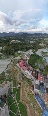 Cameron Highlands, Pahang Malezya 30 Mayıs 2022: Malezya 'nın Cameron Highlands Alanı içindeki Brinchang Bölgesinin Genel Manzarası