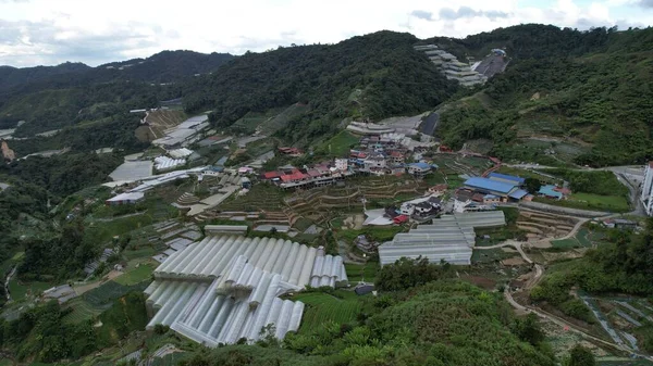 Cameron Highlands Pahang Malajzia 2022 Május Általános Tájkép Brinchangi Körzetről — Stock Fotó