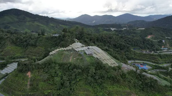 Cameron Highlands Pahang Malaysia Maggio 2022 Panorama Generale Veduta Del — Foto Stock