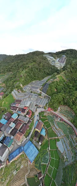 Cameron Highlands Pahang Malezya Mayıs 2022 Malezya Nın Cameron Highlands — Stok fotoğraf