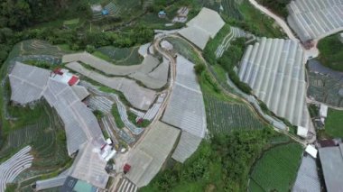 Cameron Highlands, Pahang Malezya 30 Mayıs 2022: Malezya 'nın Cameron Highlands Alanı içindeki Brinchang Bölgesinin Genel Manzarası