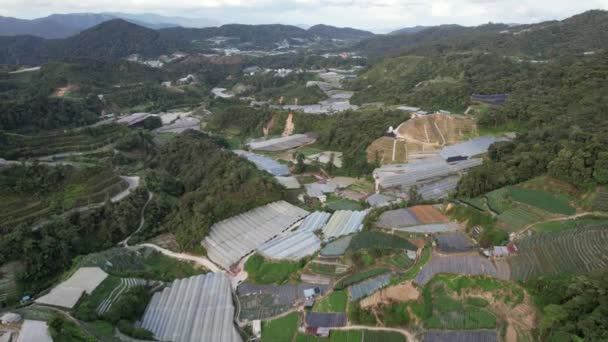 Cameron Highlands Pahang Maleisië Mei 2022 Algemeen Landschapsbeeld Van Het — Stockvideo