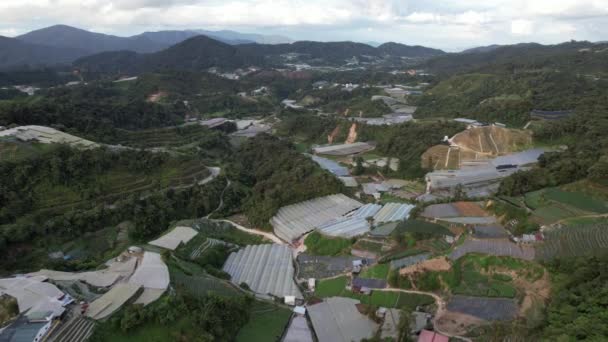 Cameron Highlands Pahang Malezja Maja 2022 Ogólny Widok Krajobraz Dystryktu — Wideo stockowe