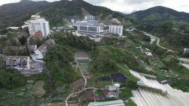 Cameron Highlands Pahang Malásia Maio 2022 Vista Geral Paisagem Distrito — Vídeo de Stock