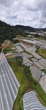 Cameron Highlands, Pahang Malezya 30 Mayıs 2022: Malezya 'nın Cameron Highlands Alanı içindeki Brinchang Bölgesinin Genel Manzarası