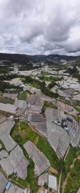 Cameron Highlands, Pahang Malezya 30 Mayıs 2022: Malezya 'nın Cameron Highlands Alanı içindeki Brinchang Bölgesinin Genel Manzarası